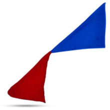 Load image into Gallery viewer, Double Color Changing Silks - Two Silks Change Color! - Very Easy to Do!