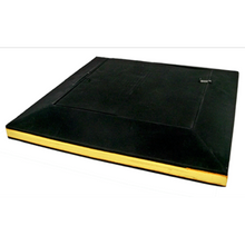 Load image into Gallery viewer, Dove Tray (Large) - Produce a Dove With This Classic Prop!