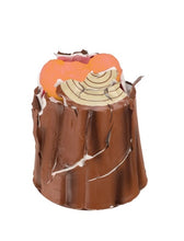 Load image into Gallery viewer, Grow Sloth - Just Add Water and Watch Them Grow! - Fun DIY Kit