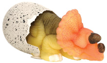 Load image into Gallery viewer, Ginormous Hatchin Grow Dino (Colors Vary) - Egg Hatches Into a Dino!