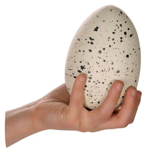 Load image into Gallery viewer, Ginormous Hatchin Grow Dino (Colors Vary) - Egg Hatches Into a Dino!