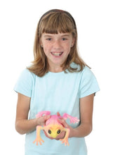 Load image into Gallery viewer, Ginormous Grow Frog (Colors Vary) - Grows Up to 3 Times the Original Size!