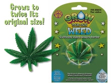 Load image into Gallery viewer, Grow Your Own Weed - Grows Over Twice Its' Original Size When Placed In Water!