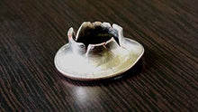 Load image into Gallery viewer, Karate Coin Extreme Half Dollar Version - Jab Your Finger Through A Half Dollar