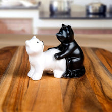 Load image into Gallery viewer, Meow Cat Salt and Pepper Shaker Set - These Are Some Naughty Cats!