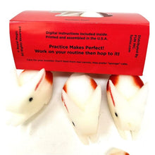 Load image into Gallery viewer, Multiplying Rabbits in 3D - Large Sponge Rabbits Appear, Disappear and Multiply! by Royal Magic