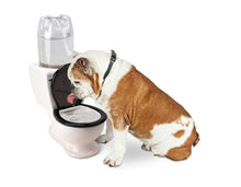 Load image into Gallery viewer, Toilet Water Dish - For Dogs, Cats and More! - The Pet Toilet Water Dish