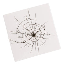 Load image into Gallery viewer, Prank Decals by Toysmith - Removable - Easy Application - Joke Stickers Fun Gift