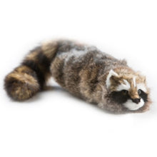 Load image into Gallery viewer, Reality Raccoon - Appears Alive - Great Magician's Prop Children Love! - Super Flex Neck Version!
