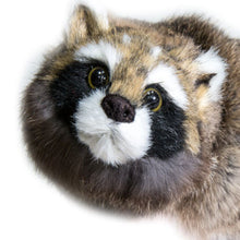 Load image into Gallery viewer, Reality Raccoon - Appears Alive - Great Magician's Prop Children Love! - Super Flex Neck Version!