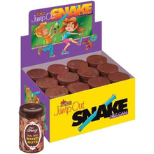 Load image into Gallery viewer, Snake in a Fancy Salted Mixed Nuts Can - An Old Favorite - Very Funny!