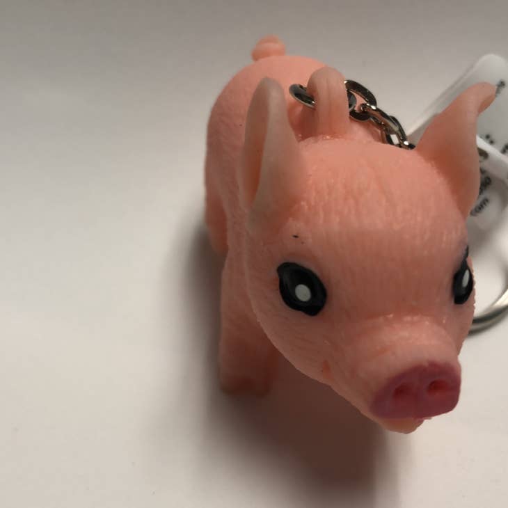 Squishy on sale pig keychain