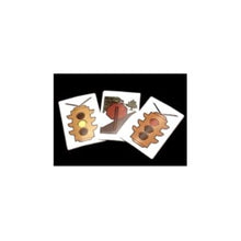 Load image into Gallery viewer, TRA-FIX - A Cute Little Pocket Card Packet Effect That's Easy To Do!