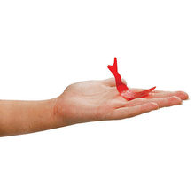 Load image into Gallery viewer, Fortune Teller Miracle Fish - 3 Red Fish Tells Future or is it a gag?