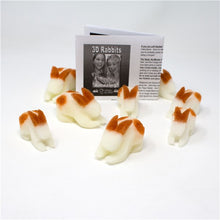 Load image into Gallery viewer, Multiplying Rabbits in 3D - Large Sponge Rabbits Appear, Disappear and Multiply!