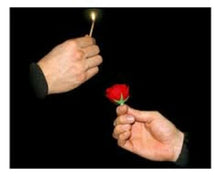 Load image into Gallery viewer, Match to flower is a great magic trick.