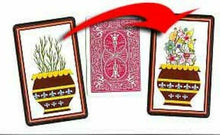 Load image into Gallery viewer, Pocket Flowering Bush - Easy To Do! - Flowers Magically "Grow" On A Barren Bush