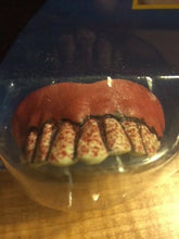 Load image into Gallery viewer, Zombie Bloody Teeth - Fake Reusable Zombie Teeth - Great Theatrical Makeup Prop