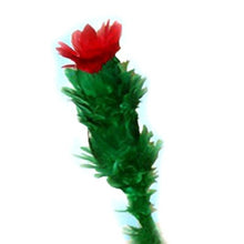 Load image into Gallery viewer, Blooming Blossom Repeat - EZ to Do! - Flower Vanishes, Reappears and Changes Color - Like Magic!