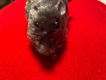 Load image into Gallery viewer, Wind Up Furry Mouse - Startle That Special Person With This Fake Mouse (Colors Vary)!