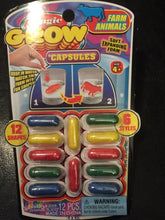 Load image into Gallery viewer, Magic Grow Capsules Turn Into Different Shapes After Placing In Water!