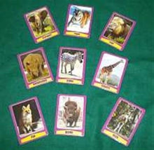 Load image into Gallery viewer, Magic Safari - Several Animal Cards Are Shown And You Know Which One Was Chosen!