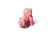 Load image into Gallery viewer, Naughty Pigs Salt and Pepper Shaker Set - These Guys Are Makin' Bacon!