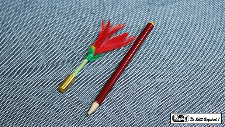 Pencil to Flower or Color Changing Pencil - Great Beginner's Pocket Ma –  longsuperstore