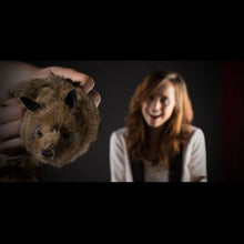 Load image into Gallery viewer, Super Robbie Raccoon - Appears Alive - Great Magician's Prop Children Love! - Super Flex Neck Version!