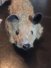 Load image into Gallery viewer, Super Robbie Raccoon - Appears Alive - Great Magician's Prop Children Love! - Super Flex Neck Version!