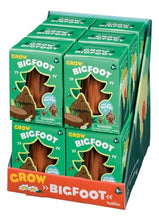 Load image into Gallery viewer, Hatchin&#39; Grow Bigfoot - Just Add Water and Watch Them Grow! - Fun DIY Kit
