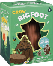 Load image into Gallery viewer, Hatchin&#39; Grow Bigfoot - Just Add Water and Watch Them Grow! - Fun DIY Kit
