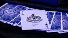 Load image into Gallery viewer, Apostles Playing Cards (Deck and Online Instructions) by Luke Jermay
