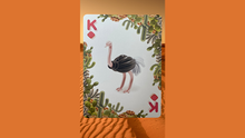 Load image into Gallery viewer, Bicycle Balloon Desert Playing Cards
