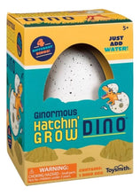 Load image into Gallery viewer, Ginormous Hatchin Grow Dino (Colors Vary) - Egg Hatches Into a Dino!
