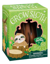 Load image into Gallery viewer, Grow Sloth - Just Add Water and Watch Them Grow! - Fun DIY Kit
