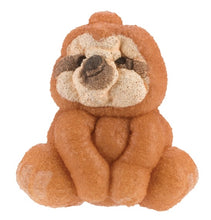 Load image into Gallery viewer, Grow Sloth - Just Add Water and Watch Them Grow! - Fun DIY Kit
