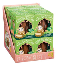 Load image into Gallery viewer, Grow Sloth - Just Add Water and Watch Them Grow! - Fun DIY Kit
