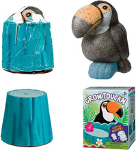 Load image into Gallery viewer, Hatchin&#39; Grow Toucan - Just Add Water and Watch Them Grow! - Fun DIY Kit
