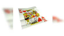 Load image into Gallery viewer, Magician's Insurance Policy - Great for Platform and Stage!
