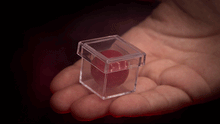 Load image into Gallery viewer, MAGIC CHAMBER (Gimmicks and Instructions) by Apprentice Magic
