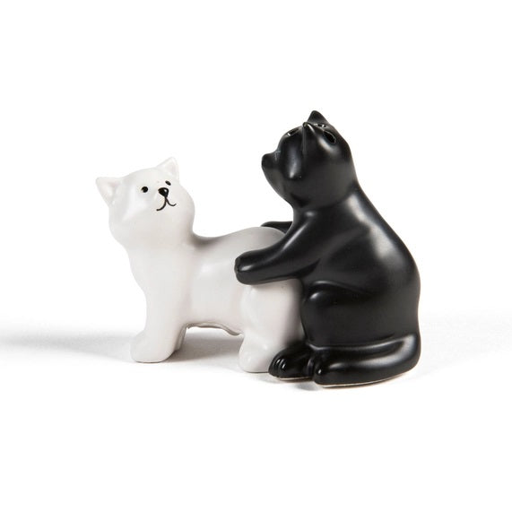 Puppy Pound Salt and Pepper Shaker Set - These Guys Are Pounding It! (Copy)