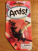 Load image into Gallery viewer, Ants! - Jokes, Gags and Pranks - Reusable! - Scare Your Friends - Fake Ants!
