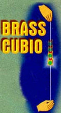 Load image into Gallery viewer, Cubio Brass Magic Trick - Close-up - Beginners - Brass Cubio Stops When You Want
