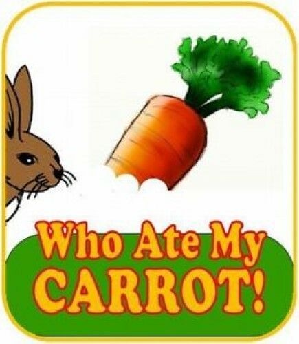 Carrot Culprit by Adair - A Cute Jumbo Card Trick! - Easy to Do! - Quick Reset!