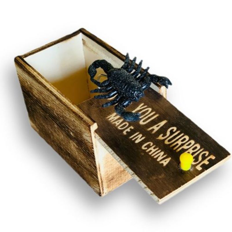 Boxed Surprise - Scare Your Friends With This Great Gag Gift!