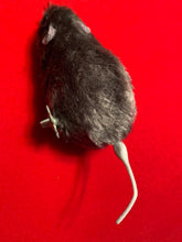 Load image into Gallery viewer, Wind Up Furry Gray Mouse - Startle That Special Person With This Fake Mouse!

