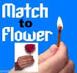 Load image into Gallery viewer, Match To Flower - Fire Magic Trick - Flower Magic - Stage Magic - Platform Magic
