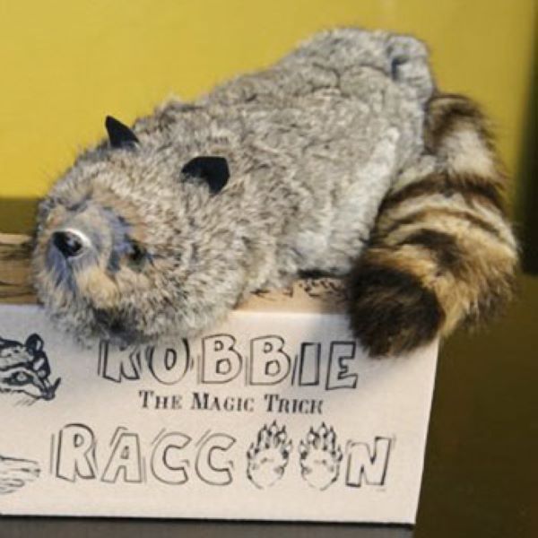 Super Robbie Raccoon - Appears Alive - Great Magician's Prop Children Love! - Super Flex Neck Version!