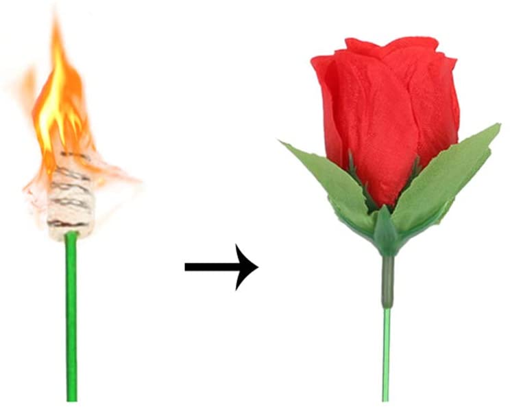 Torch to Flower - Torch to Rose - Fire Magic Trick - Flower Magic - Stage Magic
